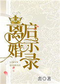 离婚启示录小说介绍